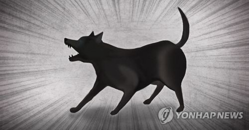 제주서 '들개떼' 공격에 송아지 4마리 물려 죽어