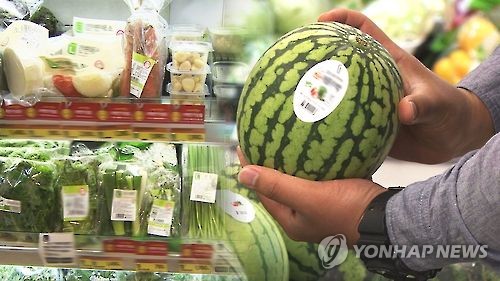 취약 1인 가구 최저생활 보장…공유주택 활성화 등 대책 추진