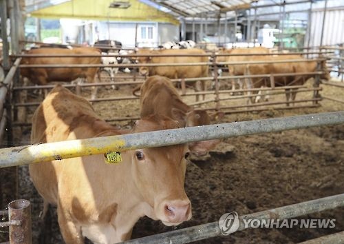 여름에 더 고약한 축산악취…오송역 일대 등 10곳 개선사업