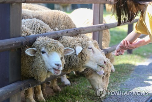 [톡톡 지방자치] 바다로 육지로…관광 중심지 노리는 인천 남동구