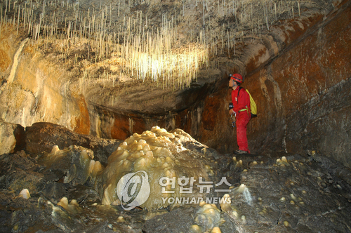 제주 만장굴 8천∼9천년 전 형성…2∼3차 연대측정 결론(종합)