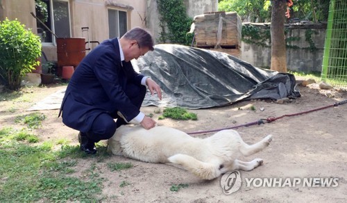 "잊혀지고 싶다"던 문대통령, 2년 뒤 양산의 '자연인'으로