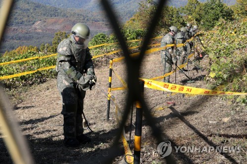 [6.25 70년 DMZ] ③ 금단의 땅…'열린 공간'으로 거듭날까(끝)