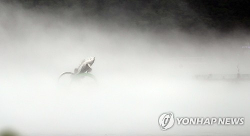 강원 내일 낮까지 장맛비…미시령 96mm 내려