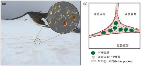 해수부, 해양수산 기술거래 전문 지원단 발족