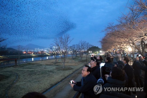 을산 태화강 물새 해설사 '시민 버드워처' 9월 활동 개시