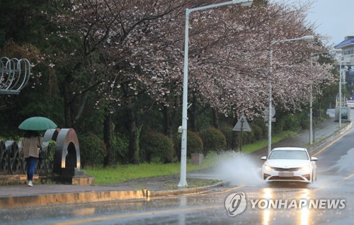 제주, 25일 밤까지 비 이어져…"출근길 안전운전"