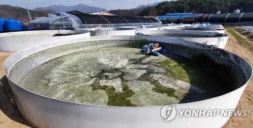 동물보호단체, '산천어축제 학대' 무혐의 처분에 항고