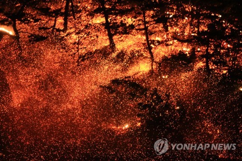 축구장 172개 잿더미 고성산불 원인 '화목보일러 부실시공'(종합)