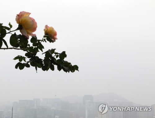 전국 구름많다 차차 흐려져…제주·전남 오후에 비 소식