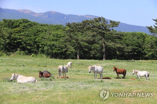 올해 봄철 제주 11년 만에 황사 없었다