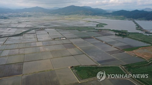 농작물 침수·주택파손·오수역류…주말 폭우에 곳곳 '아수라장'