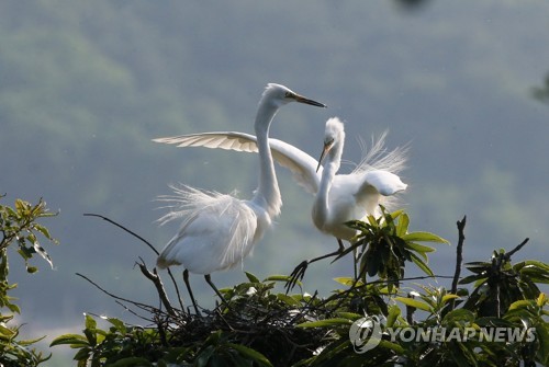 동국대 경주캠퍼스에 전국 사진 동호인이 몰린다는데?