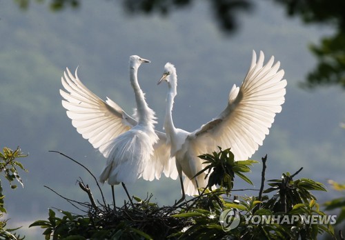 동국대 경주캠퍼스에 전국 사진 동호인이 몰린다는데?