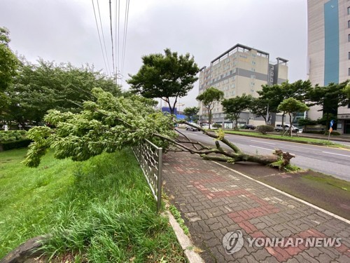 제주 태풍급 강풍에 항공기 10여편 결항…운항 차질