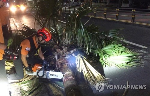 제주 태풍급 강풍에 항공기 10여편 결항…운항 차질