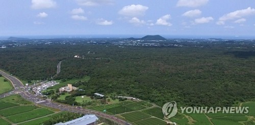 제주 대표 자연자원 '곶자왈' 23만㎡ 추가 공유화