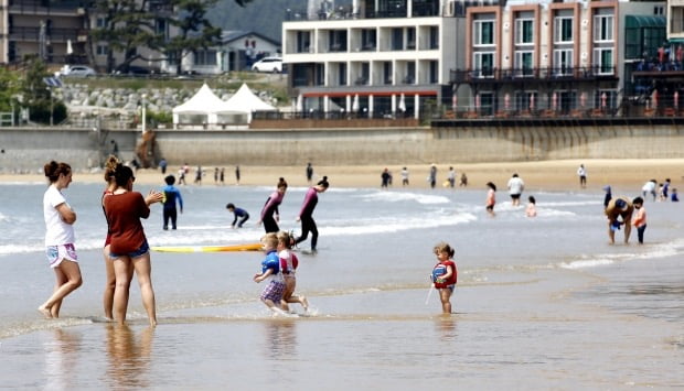 6일 충남 태안군 소원면 만리포해수욕장을 찾은 관광객들이 해변에서 더위를 식히고 있다.  /사진=연합뉴스