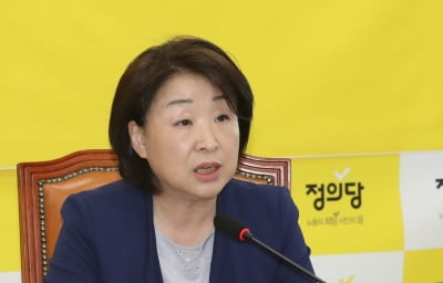 심상정 "김상조, 뒷북 부동산 대책 자인한 것" 연일 맹공