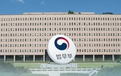 "출국금지는 '수사 개시된 피의자'로 한정하라"…개혁위 권고