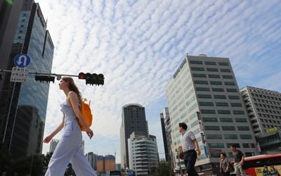 도로교통법 전면 손질…"보행자 보호강화, 민식이법은 유지"