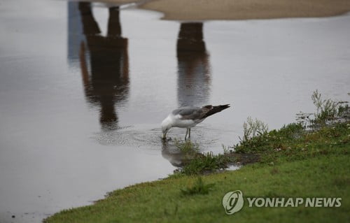 내일 오전까지 비소식…"퇴근길 미끄러운 도로 조심"