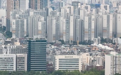 토지거래허가제 후 강남·잠실 집값 "되레 더 올랐다"