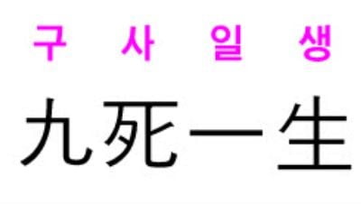 [신동열의 고사성어 읽기] 九死一生 (구사일생)