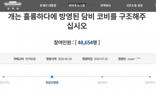 지난달 29일 청와대 국민청원 게시판에는 "'개는 훌륭하다'에 방영된 담비, 코비를 구조해주십시오"라는 제목의 청원 글이 올랐다. 6일 4시40분 기준 이 글에는 4만8654명이 참여했다. [사진=청와대 국민청원 게시판 캡처]