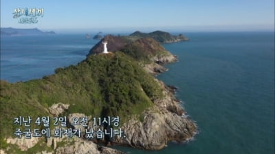 '삼시세끼' 나영석 측, 죽굴도 화재 사과 "섬에서 무단으로 쓰레기 태우다가"