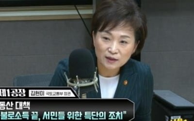 김현미 "주택공급 부족하지 않아…실수요자 대책 만들었다"