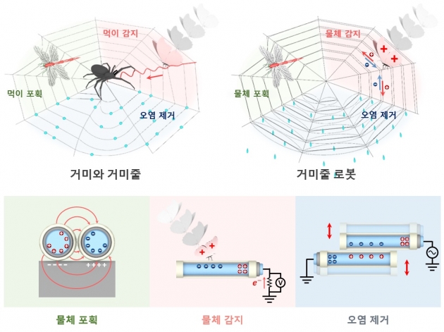 스파이더맨이 쓰는 '거미줄' 소프트 로봇 개발