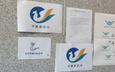 인천공항 새 로고 '시끌'…손혜원 "기존 로고가 100배 낫다"