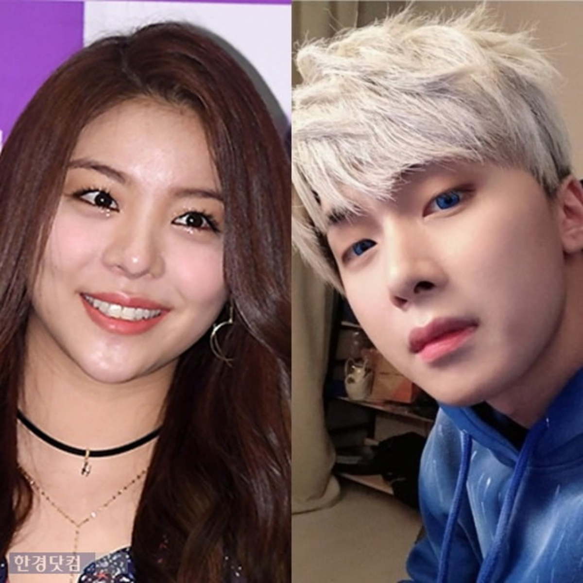 에일리, BJ 뜨뜨뜨뜨 무슨 사이? 저는 성덕입니다 | 한국경제 에일리, Bj 뜨뜨뜨뜨 무슨 사이? 저는 성덕입니다 | 한국경제