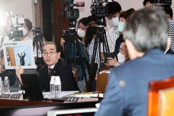 지난 23일 서울 여의도 국회 외교통일위원회에서 열린 인사청문회에서 태영호 미래통합당 의원이 이인영 통일부 장관 후보자에게 질의하고 있다. /사진=뉴스1