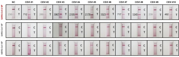 위에서부터 코로나19, 사스, 메르스 바이러스다. 같은 혈액 샘플을 떨어뜨렸을 때 코로나19에서만 특이적으로 반응하는 것을 확인할 수 있다. 이 신속진단키트를 이용하면 15분 내로 감염여부를 알 수 있다. 과학기술정보통신부 제공
