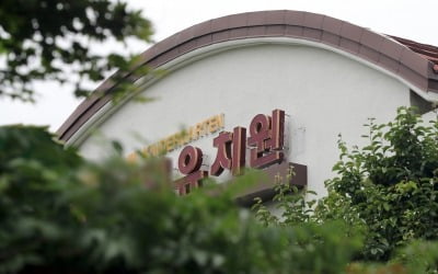 [속보] 안산 유치원 장출혈성 감염환자 60명으로 늘어…11명 입원