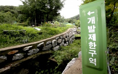 그린벨트 해제가 물건너간 이유 [전형진의 복덕방통신]