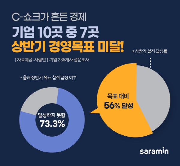 기업 73%는 코로나19로 목표 실적 달성 ‘실패’…하반기도 상반기와 비슷할 것