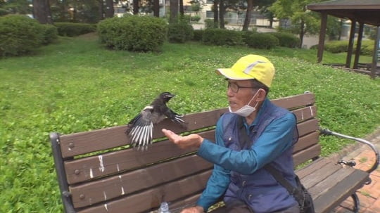 '순간포착 세상에 이런 일이'(사진=SBS) 