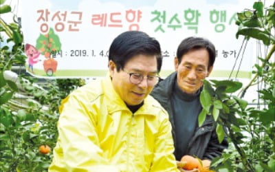 전남 특산물 "이젠 구아바·망고"