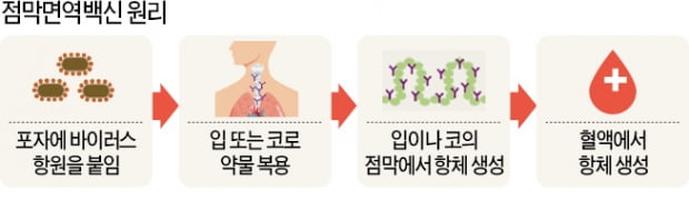 '먹는 코로나 백신' 개발 나선 바이오기업들