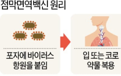 '먹는 코로나 백신' 개발 나선 바이오기업들