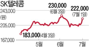 SK텔레콤·LG디스플레이·포스코…맥 못춘 대형주, 하반기엔 힘낼까