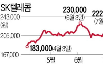 SK텔레콤·LG디스플레이·포스코…맥 못춘 대형주, 하반기엔 힘낼까