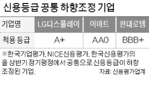 코로나 사태로 '기업실적 최악' 전망했지만…신용등급 무더기 하향조정 없었다