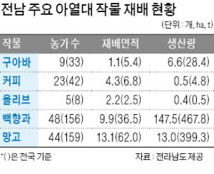 전남 특산물 "이젠 구아바·망고"