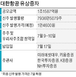 "대마불사"가 떠받친 대한항공…유상증자 '순항'하나