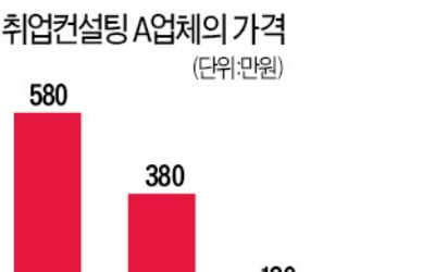 "기본 500만원"…검증 안 된 취업 컨설팅