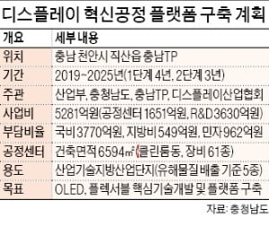 난관 부딪힌 '충남 OLED 메카' 구축